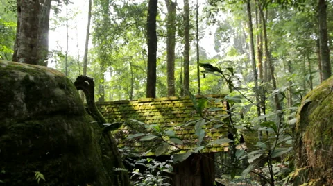 Cottage in the forest Stock Footage 46231978