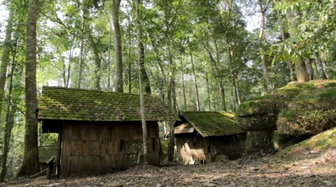 Cottage in the forest Stock Footage 46270356
