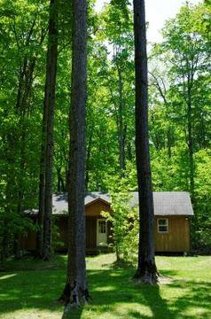 Cottage in forest Stock Photos