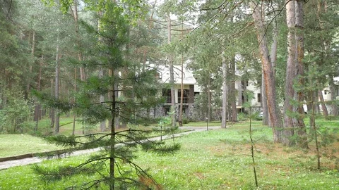 Cottage in the forest, surrounded by trees. Motion the camera through the 스톡 동영상 94753980