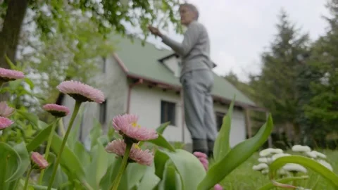 In the cottage garden Stock Footage 154611129