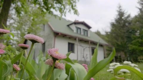 In the cottage garden Stock Footage 154611132
