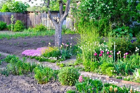 Cottage garden Stock Photos
