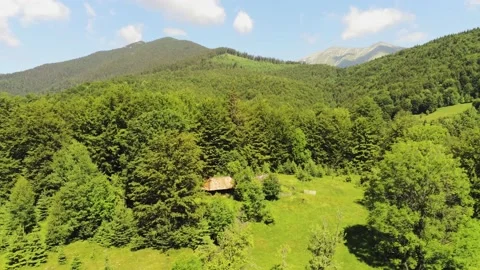 Cottage hidden between the trees in the mountains Video stock 203907260