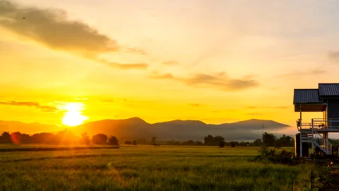 A cottage in the middle of rice fields during sunset or sunrise Stock Footage 289392926