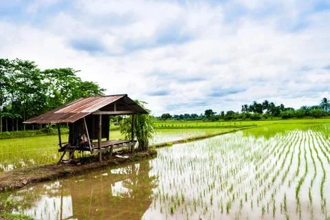 Cottage Stock Photos