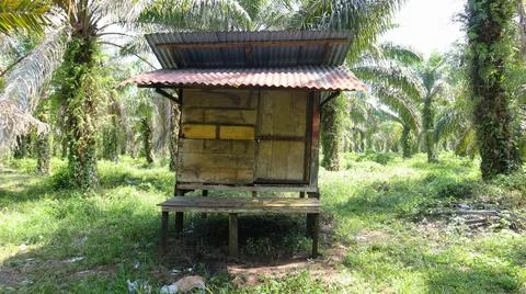 A cottage 写真素材