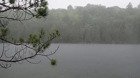 Cottage rain lake tree Stockbeeldmateriaal 236417834