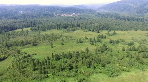 Cottage settlement in a forest Stock-Footage 68278193