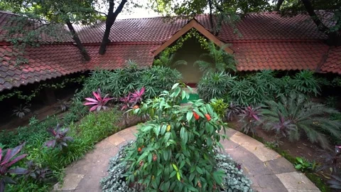 Cottage Surrounded by Plants wide angle shot Stock Footage 141112108