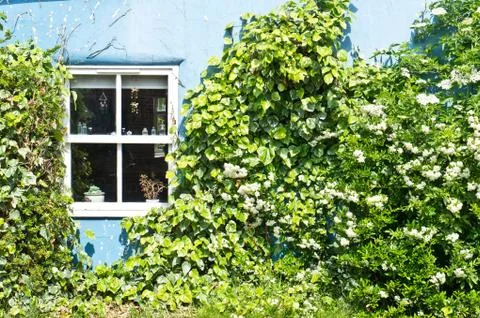 Cottage wall Stock Photos