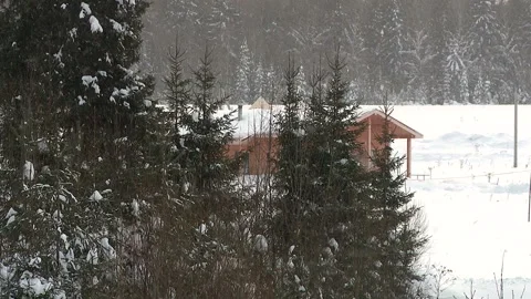 Cottage in winter forest Video stock 100618603