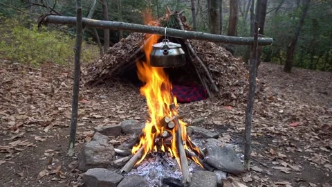 Cottagecore Bushcraft Survival Shelter Stock Video Pond5