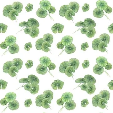 Cottagecore centella asiatica seamless pattern, botanical textile ornament Stock Illustration