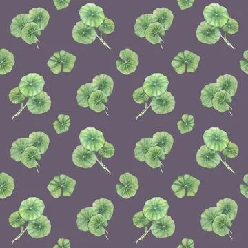 Cottagecore centella asiatica seamless pattern, botanical textile ornament Stock Illustration