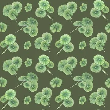 Cottagecore centella asiatica seamless pattern, botanical textile ornament Stock Illustration