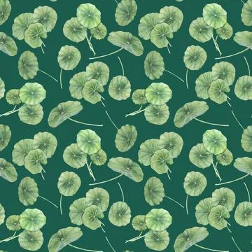Cottagecore centella asiatica seamless pattern, botanical textile ornament Stock Illustration