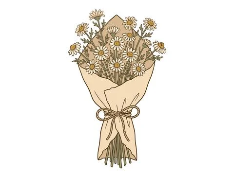 Cottagecore Dried Chamomile Bunch Paper Wrap Stock Illustration