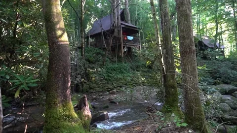 Cottagecore Treehouse in the Forest. Rustic Tiny House in the woods. NC Video stock 193539236