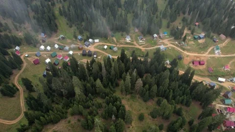 Cottages in the pine forest Stock Footage 242034214