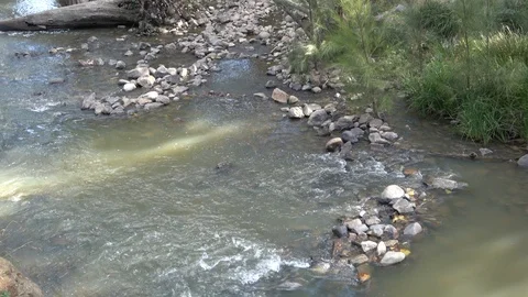 Cotter river Australia Video stock 107414617