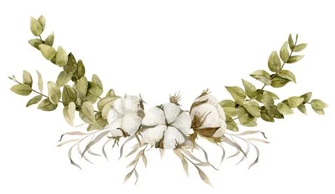 Cotton and Eucalyptus on isolated background. Hand drawn watercolor illustration Stock Illustration