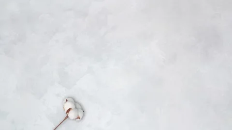 Cotton animation with round copy space in center, macro cotton ball. White light Stock Footage 130218761
