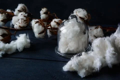 Cotton background 库存照片