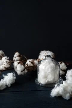 Cotton background 库存照片