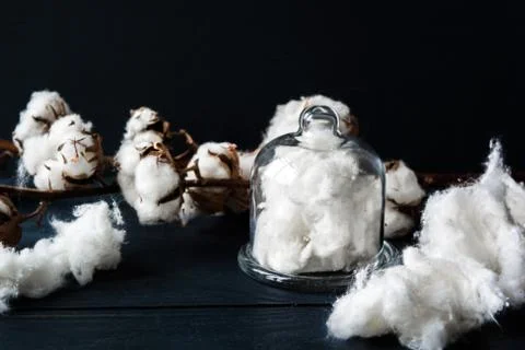 Cotton background Stock Photos