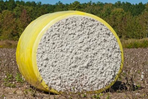 Cotton bale Stock-Fotos