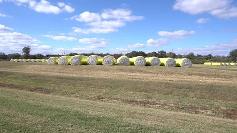 Cotton Bales Stock Footage 82091522