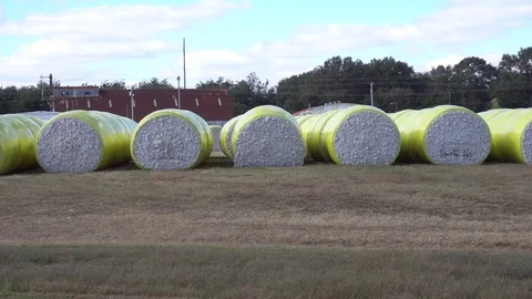 Cotton Bales Stock Footage 82091555