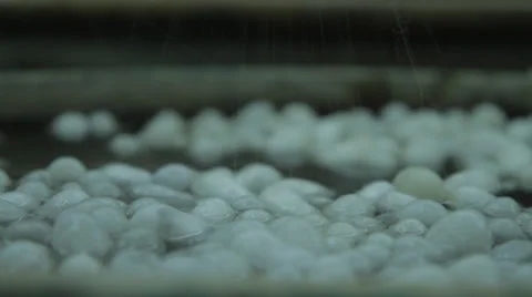 COTTON BALLS IN WATER Stock Footage 27334735