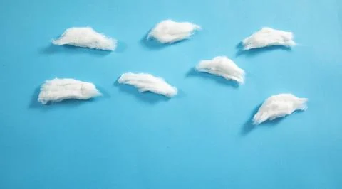Cotton on the blue background. Stock Photos