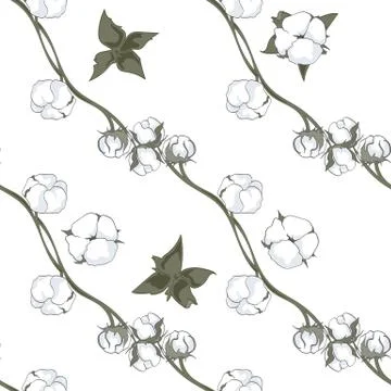 Cotton. Botanical illustrations. Seamless pattern Stock Illustration