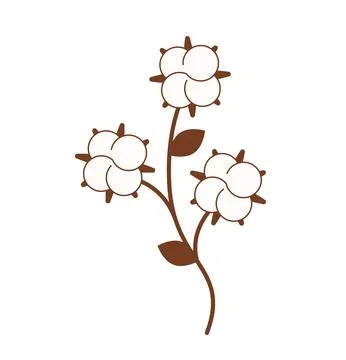 Cotton branch Ilustração Stock