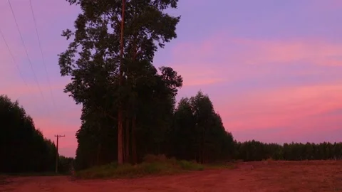 Cotton candy landscape Stock Footage 154959953