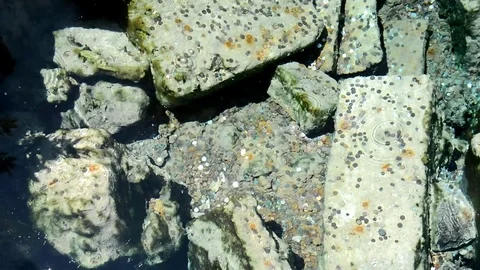 Cotton castle wish pool Stock Footage 114192245