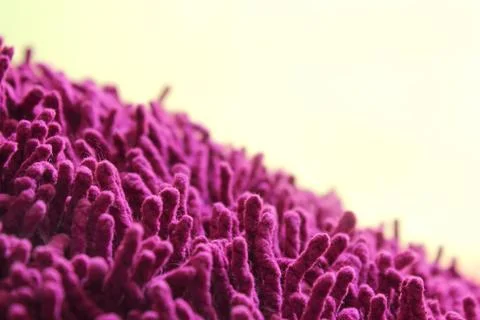 Cotton chenille Stock Photos