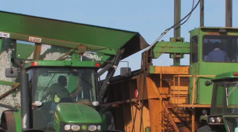 Cotton emptied into module former Video stock 27147989