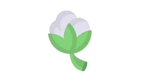 Cotton flower vector icon featuring a stylized bloom with soft petals and a.. Stock Footage 332535056