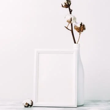 Cotton flowers with empty frame Stock-Fotos