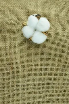 Cotton flowers on a sacking background. Stock Photos