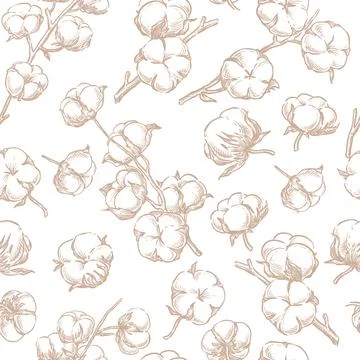 Cotton fluffy flowers seamless pattern. Hand drawn sketch vector plant illust Stock Illustration