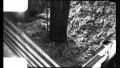 Cotton GIN Harvest Production Industry 1940s Vintage Film Home Movie 8823b HD Footage