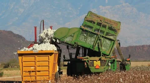 Cotton Harvest Machinery Stock Footage