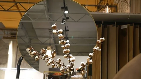 Cotton with a jug Stock Footage 104629691