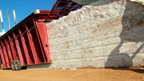 Cotton Load Being Covered for Shipment Stock Footage 172322729