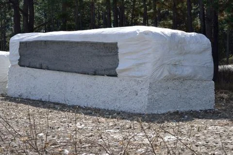 Cotton module ready for the gin Foto stock